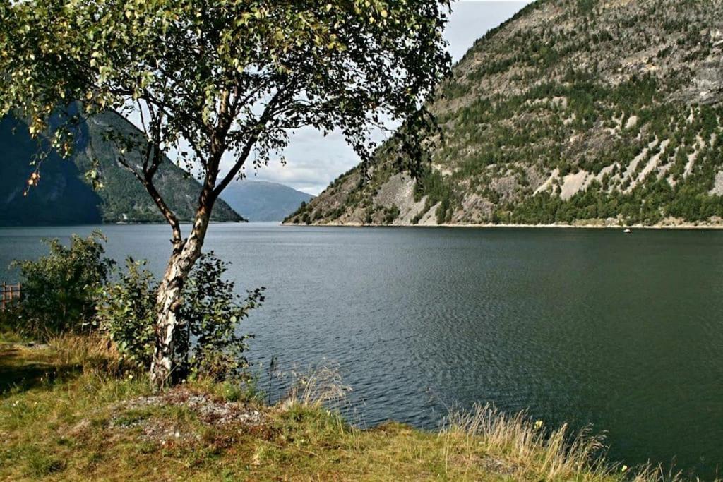 Kvammehuset Pa Gamle Laerdalsoyri Villa Luaran gambar