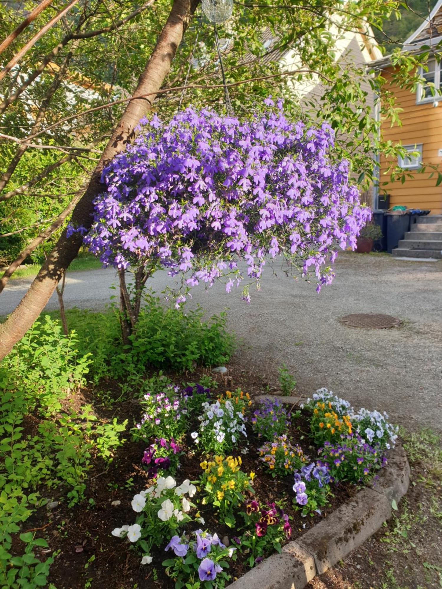 Kvammehuset Pa Gamle Laerdalsoyri Villa Luaran gambar