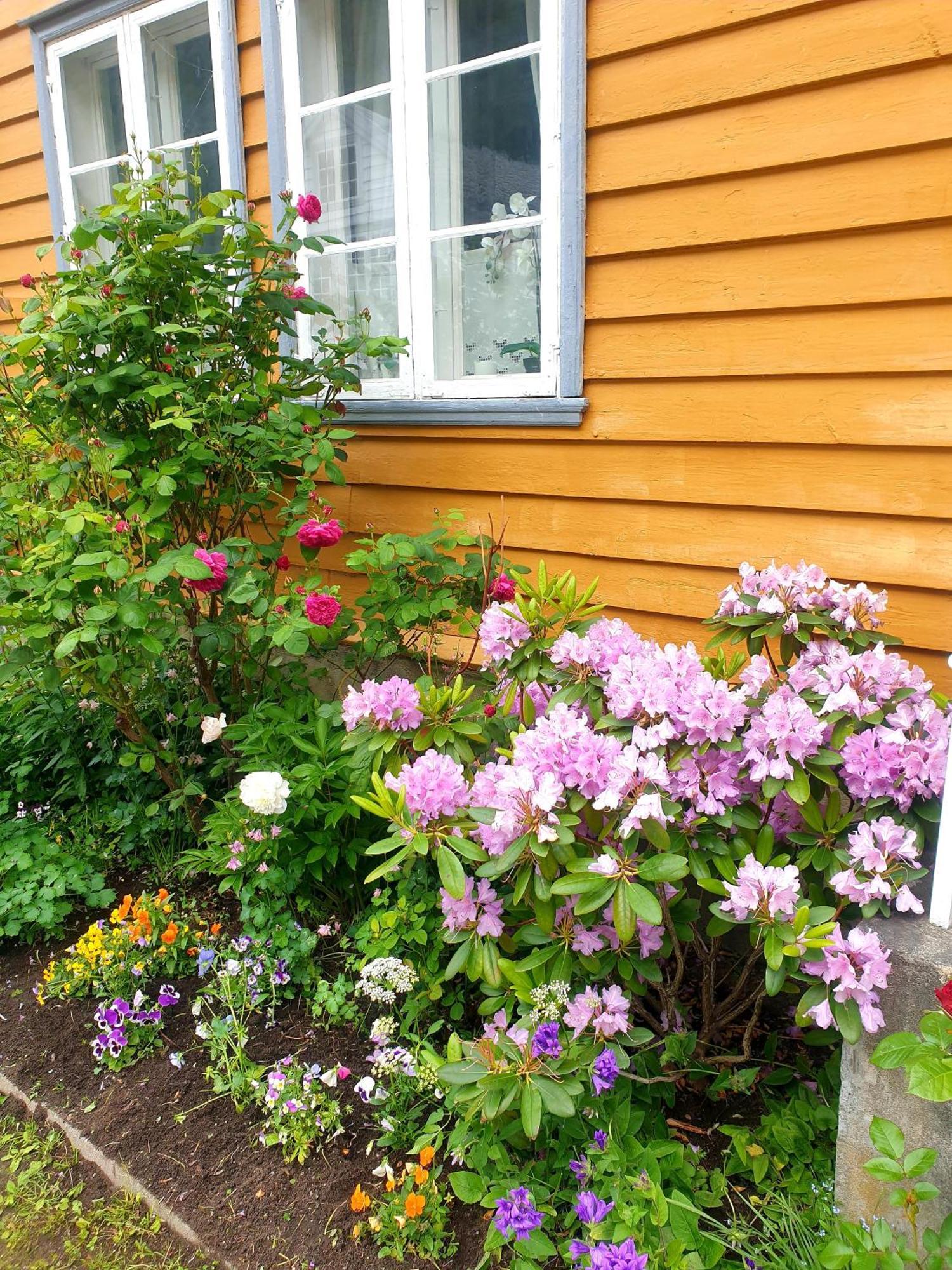 Kvammehuset Pa Gamle Laerdalsoyri Villa Luaran gambar