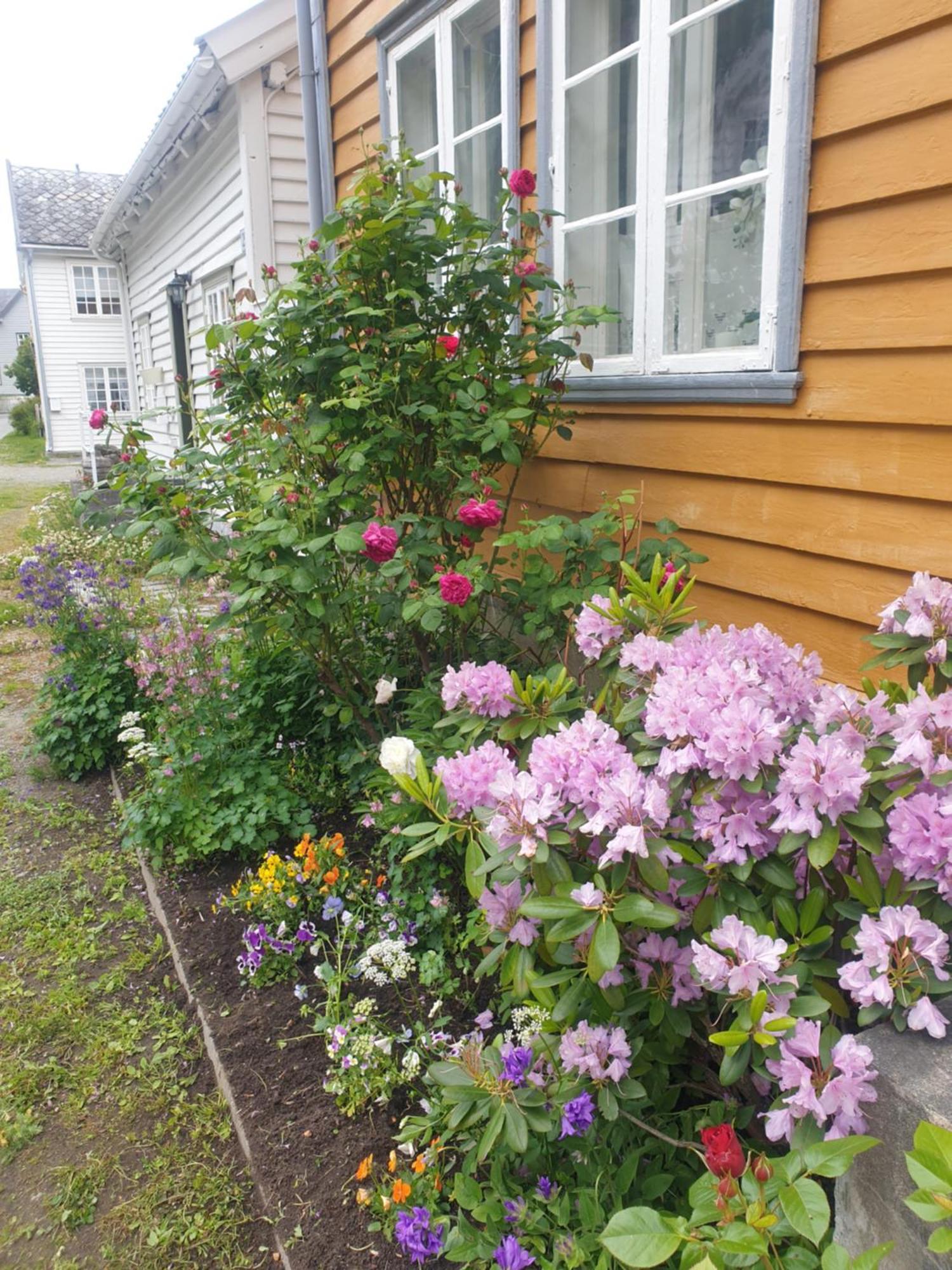 Kvammehuset Pa Gamle Laerdalsoyri Villa Luaran gambar