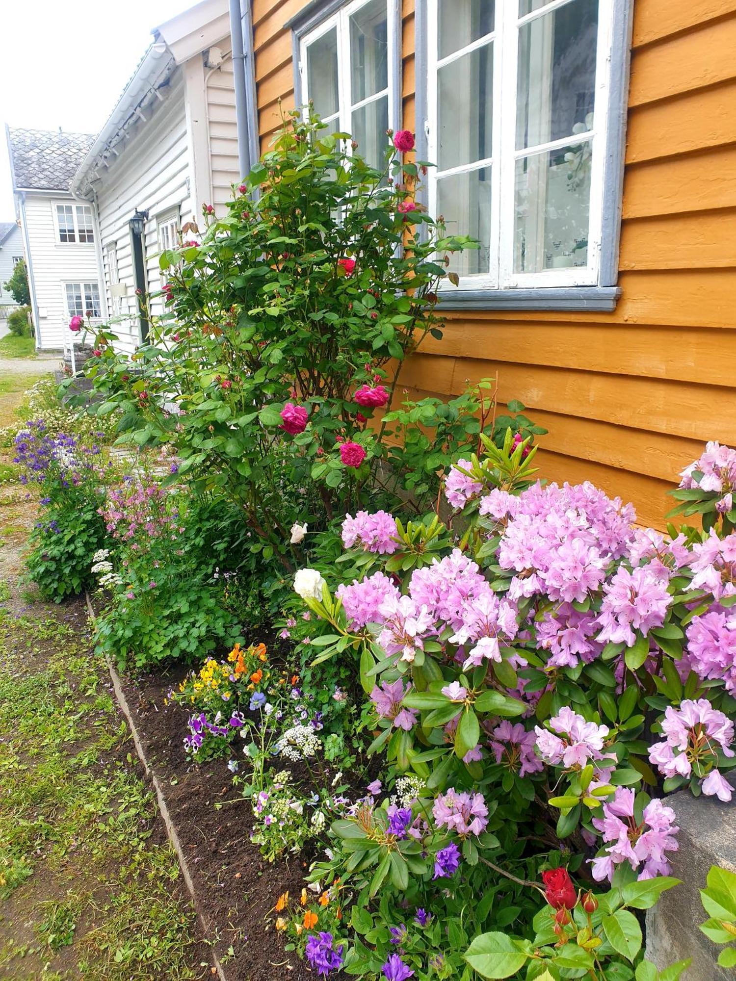 Kvammehuset Pa Gamle Laerdalsoyri Villa Luaran gambar